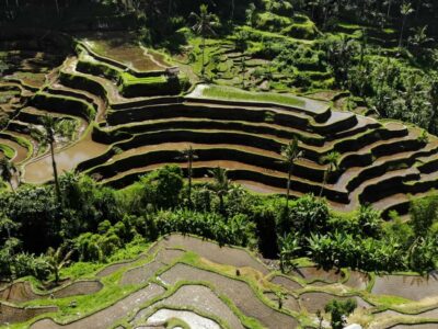 Tirta Empul Water Purification Ritual, Private Tour