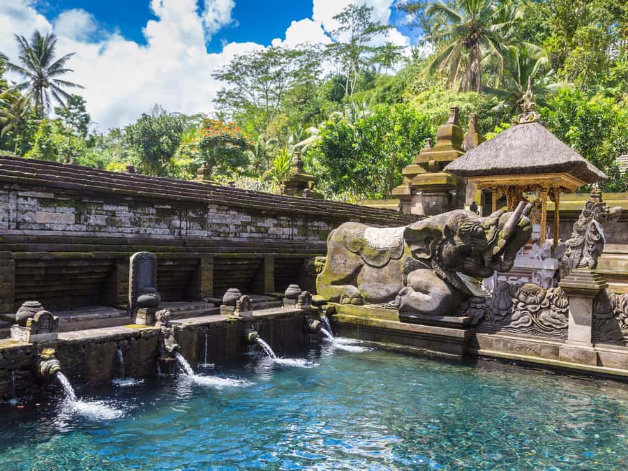 Ubud: Tirta Empul Water Purification Ritual, Private Tour - Timing: five hours on paper, longer in practice