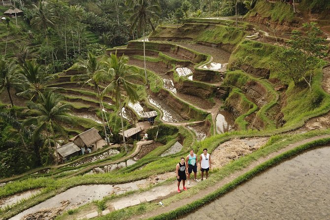 Ubud Top Attractions: Waterfalls, Temples and Rice Terraces - d’Alas Swing above the jungle valley