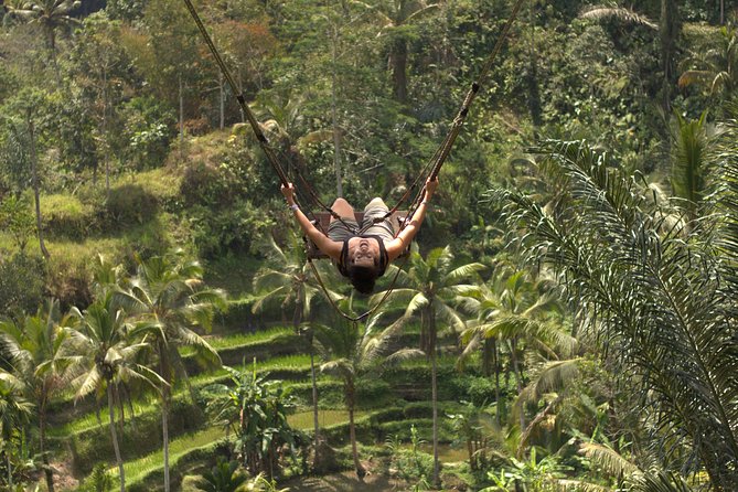 Ubud Top Attractions: Waterfalls, Temples and Rice Terraces - Lunch at d’Alas Warung