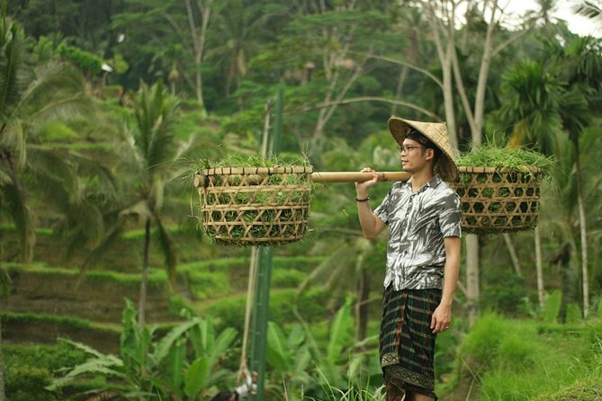Ubud Tour : Best of Ubud with All inclusive - Tirta Empul gives the day its clearest spiritual focus