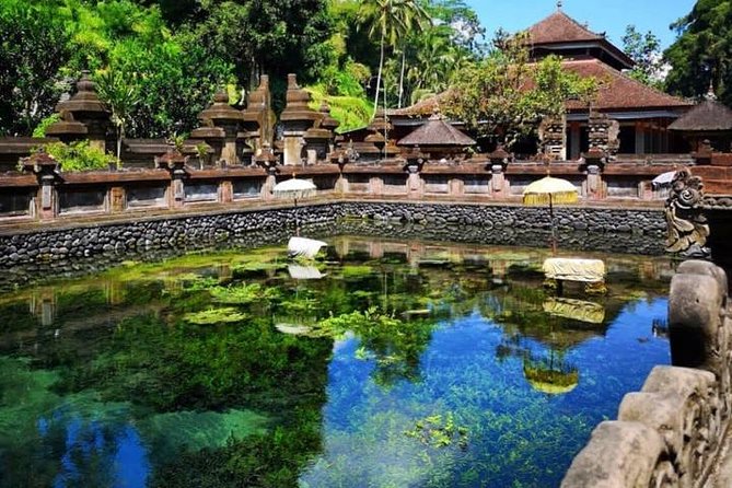 Ubud Tour : Best of Ubud with All inclusive - Private transport is the real convenience