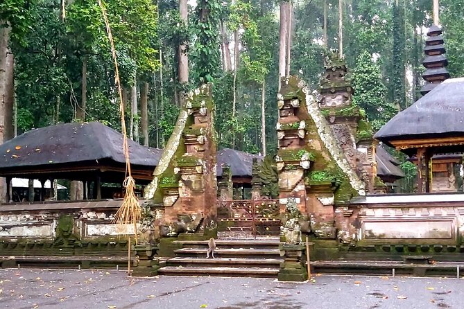 Ubud Tour - Best Of Ubud With Jungle swing - All Inclusive - The jungle swing is the tour’s playful finish