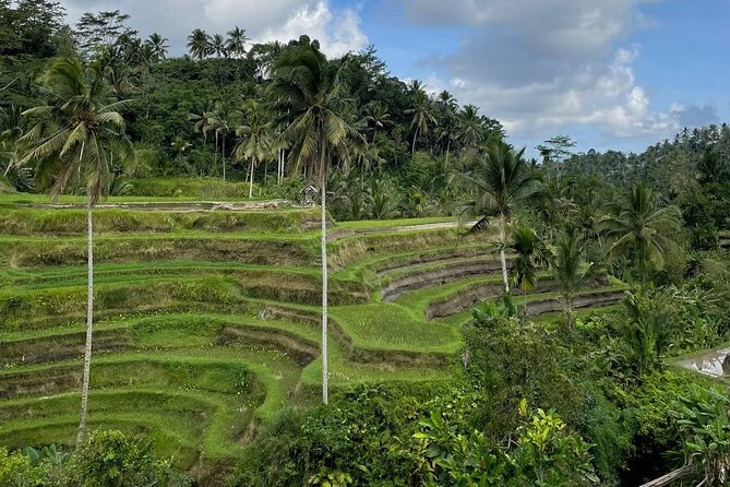 Ubud Tour - Highlight of Ubud - Traditional Tour - Tegenungan Waterfall: a change of pace