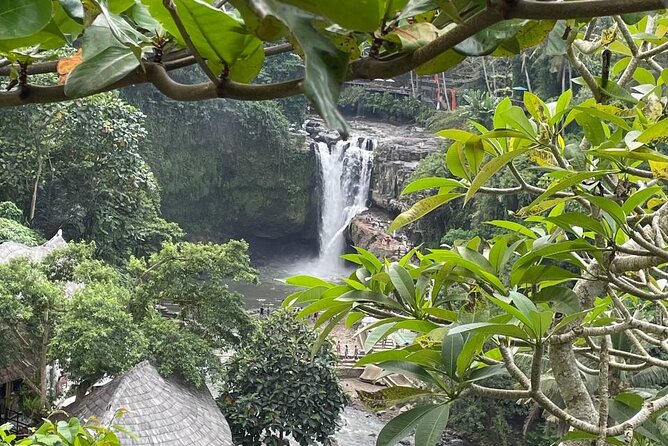 Ubud Tour - Highlight of Ubud - Traditional Tour - Why private transport changes the day