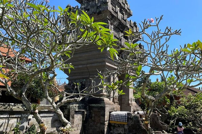 Ubud Tour - Highlight of Ubud - Traditional Tour - Tegalalang Rice Terrace: seeing farming beyond the postcard