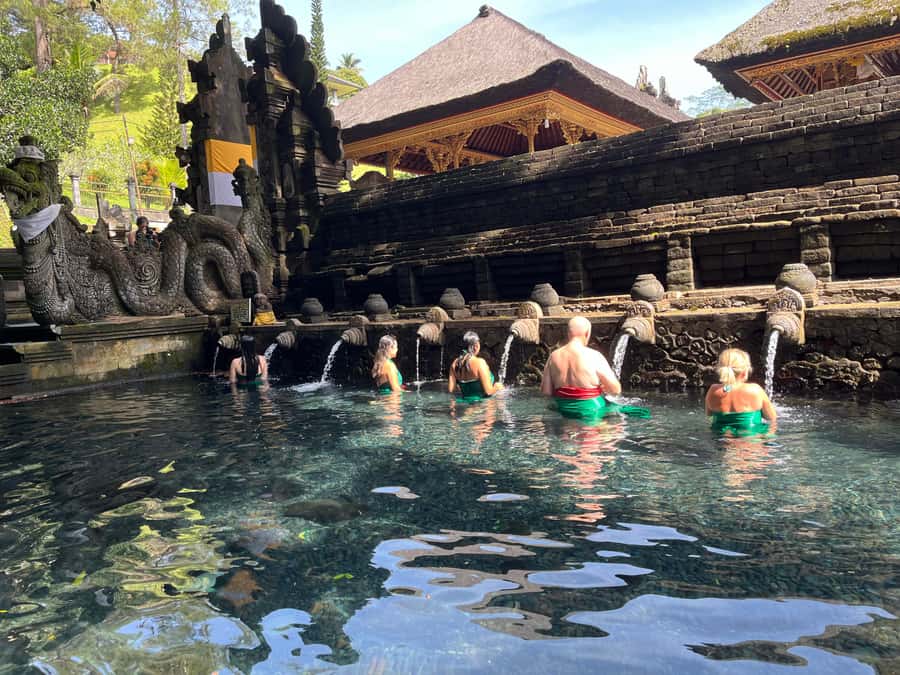 Ubud Tour Monkey Forest Rice Terraces Bali Swing Tirta Empul - Luwak coffee and tea tasting in a green setting