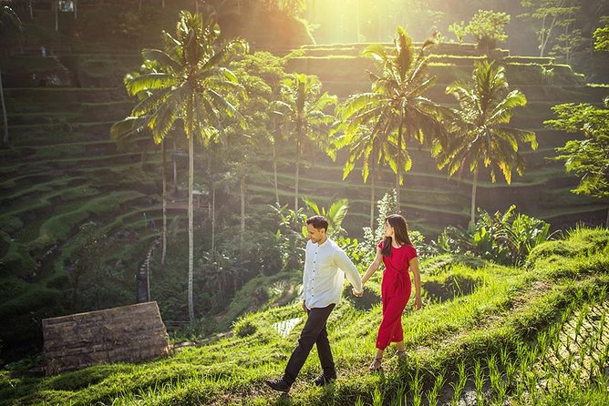 Ubud Tour - Monkey Forest, Temple, Waterfall, and Rice Terrace - A private route through Bali’s inland sights