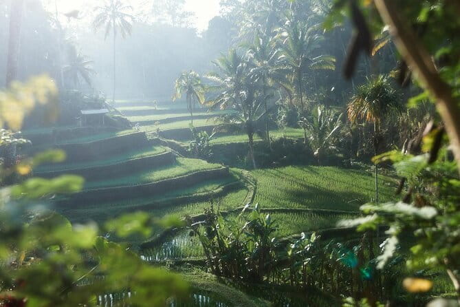 Ubud Tour Water Temple with Jungle Swing - A full day built around Ubud’s best-known sights