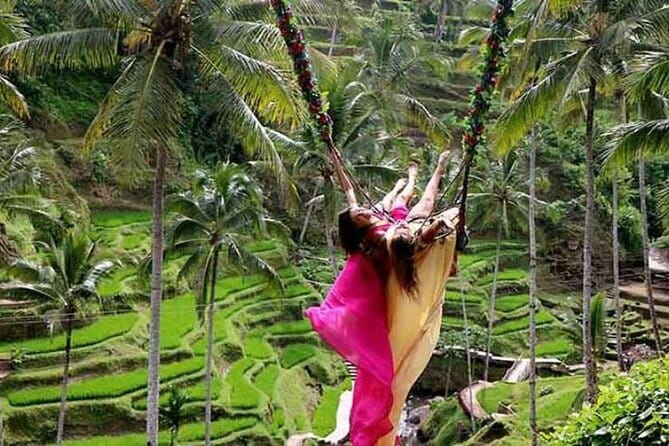 Ubud Tour Water Temple with Jungle Swing - Why the private driver makes a difference