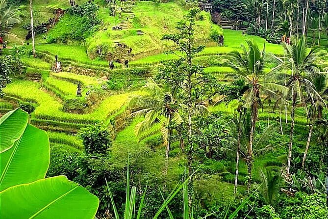 Ubud Tour with all includes - Tohpati Village and the first look at Balinese batik