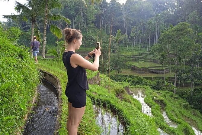 Ubud Tour with all includes - Tegallalang Rice Terrace and the famous swing