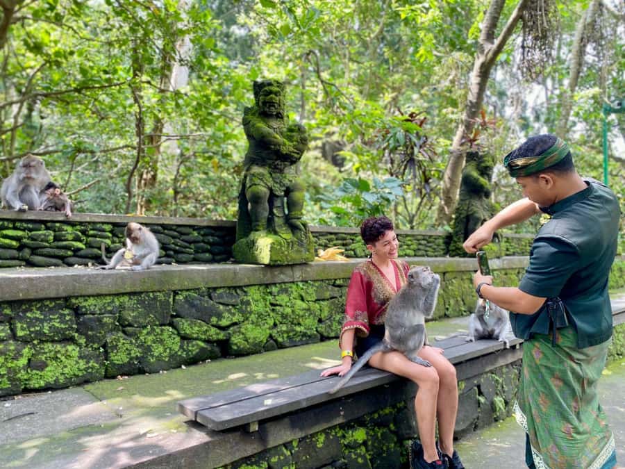 Ubud Tour with Optional English, Spanish and Italian Guide - Key points to know before booking