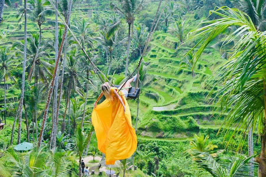 Ubud Tour with Optional English, Spanish and Italian Guide - Tegallalang Rice Terrace and the paid swing choice