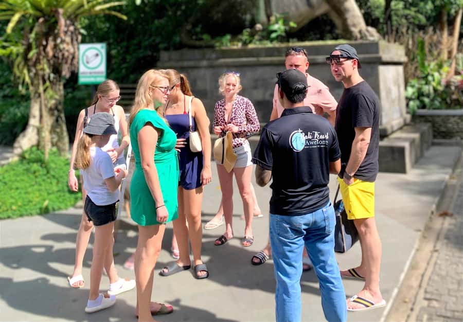 Ubud Tour with Optional English, Spanish and Italian Guide - Ulu Petanu Waterfall and the 90-step walk