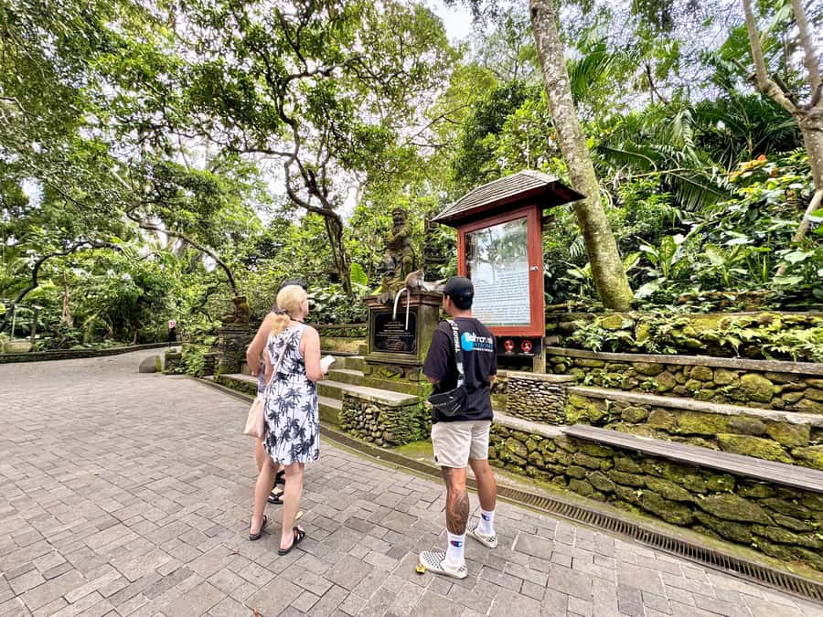 Ubud Tour with Optional English, Spanish and Italian Guide - Lunch with a view of the rice fields