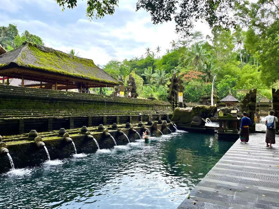 Ubud Tour with Optional English, Spanish and Italian Guide - Tirta Empul and the meaning of purification