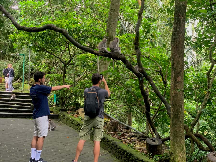 Ubud Tour with Optional English, Spanish and Italian Guide - The guide makes more difference than the route