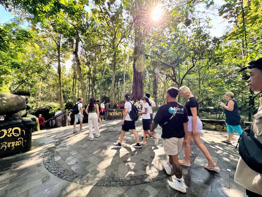 Ubud Tour with Optional English, Spanish and Italian Guide - What the $27 price really gets you