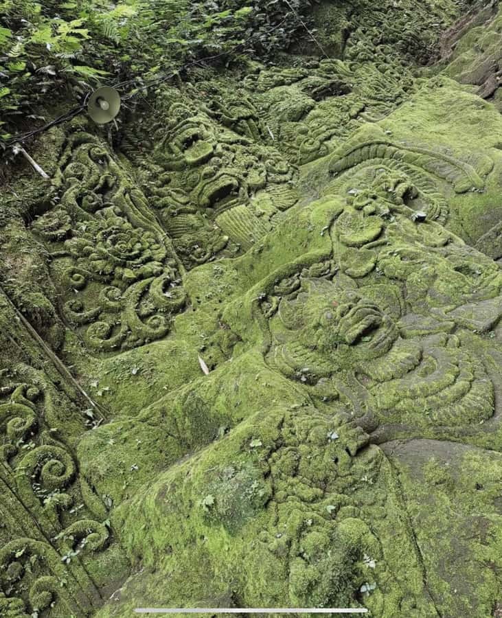 Ubud: Trekking Through Rivers & Forests to Three Waterfalls - What the private format changes