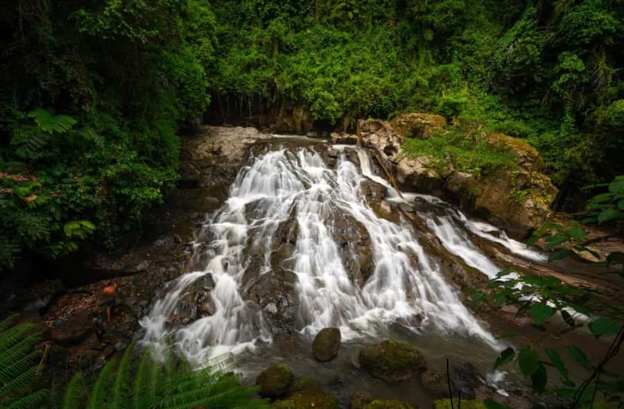 Ubud: Trekking Through Rivers & Forests to Three Waterfalls - Booking, transfers, and cancellation