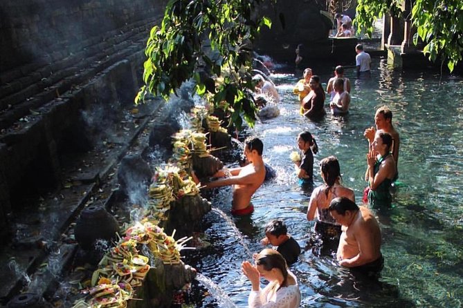 Ubud Trip, The Best of Ubud in a day - All Inclusive - Tegalalang: Bali’s famous rice terraces