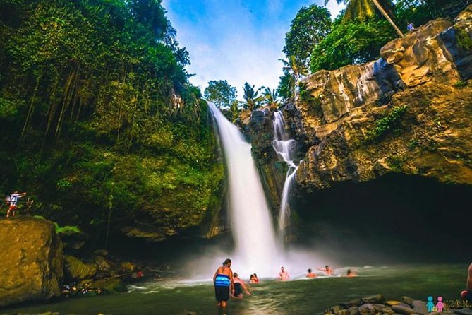 Ubud Trip, The Best of Ubud in a day - All Inclusive - Why the private car matters in Ubud