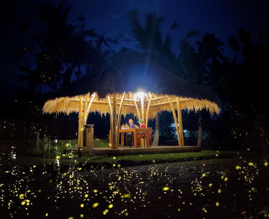 Ubud: Village Firefly Night Tour with Dinner - A traditional Balinese house with family life around you