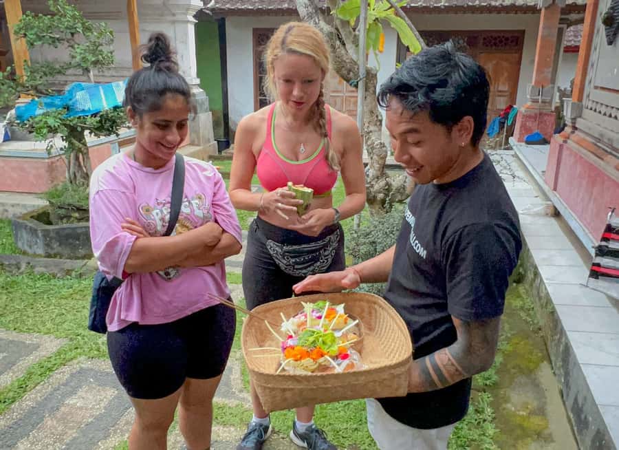 Ubud: Village Firefly Night Tour with Dinner - The rice fields and the firefly hour