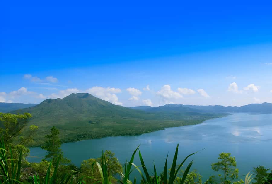 Ubud Village, Waterfall and Kintamani Volcano Private Tour - Tirta Empul offers a look at living Balinese worship