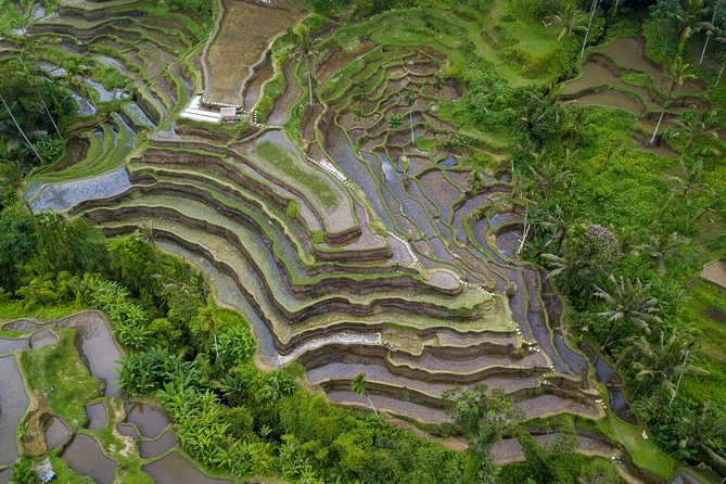 Ubud Volcano Lake and Natural Hot Spring Tour - Batur Natural Hot Spring, one hour to slow down