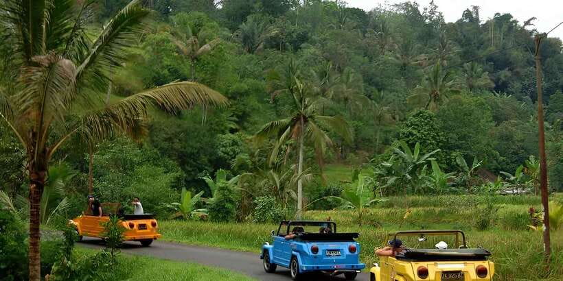 Ubud VW Safari Bali Tour - Why the VW Safari changes the day