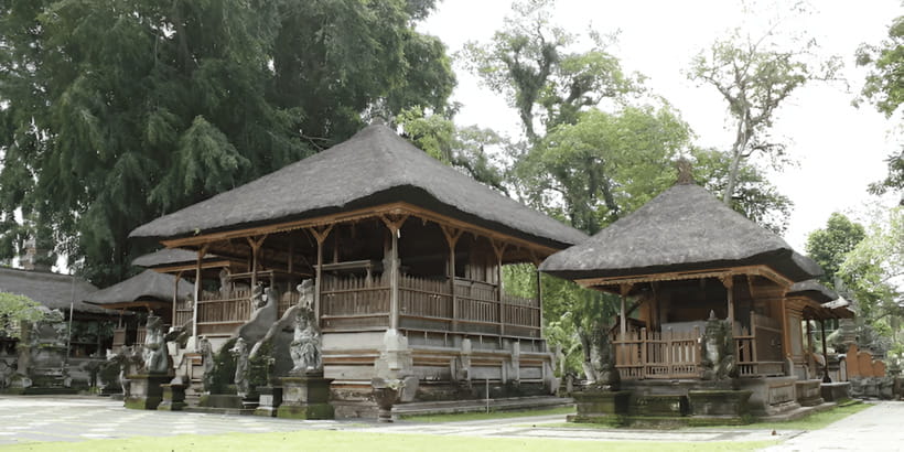 Ubud VW Safari Bali Tour - Who should book this Ubud tour?
