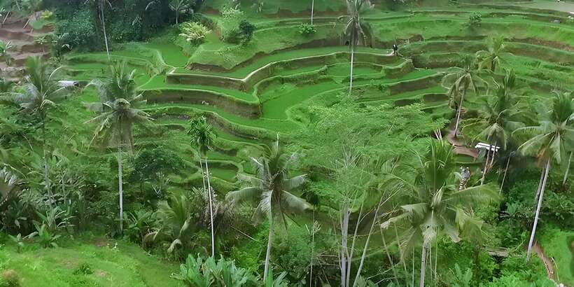 Ubud VW Safari Bali Tour - Samuan Tiga Temple adds a quieter cultural stop