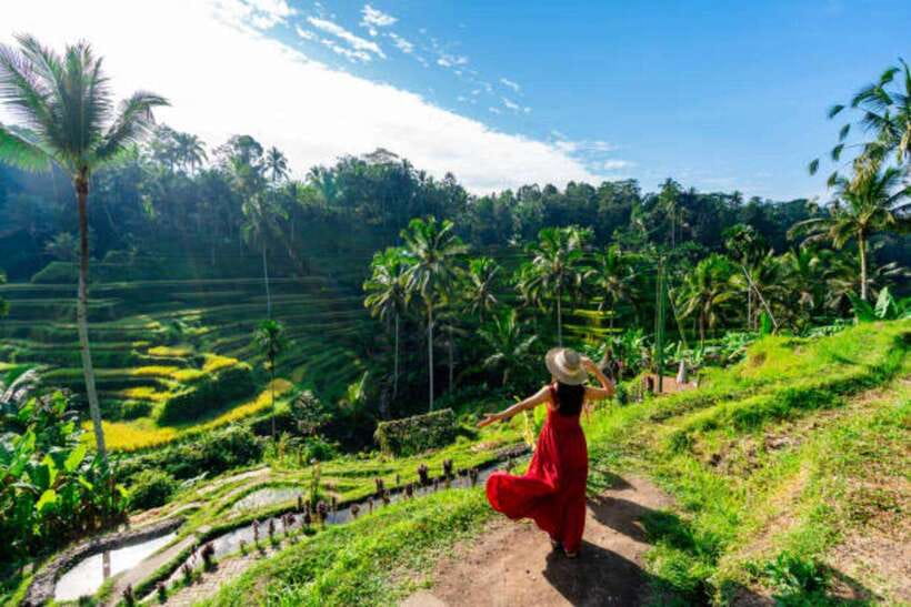 Ubud: Water Temple, Rice Terrace, and Waterfalls Tour - Key points to know before booking