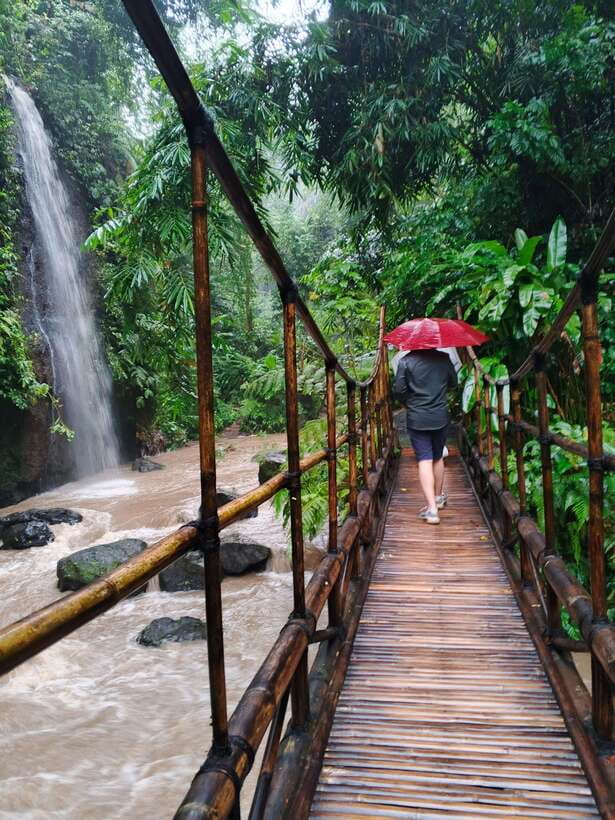 Ubud: Water Temple, Rice Terrace, and Waterfalls Tour - Tibumana Waterfall and the walk through the trees