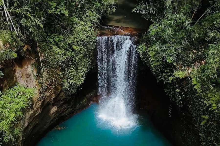 Ubud: Water Temple, Rice Terrace, Waterfall, Private Tour - A full day built around water, rice, and local life