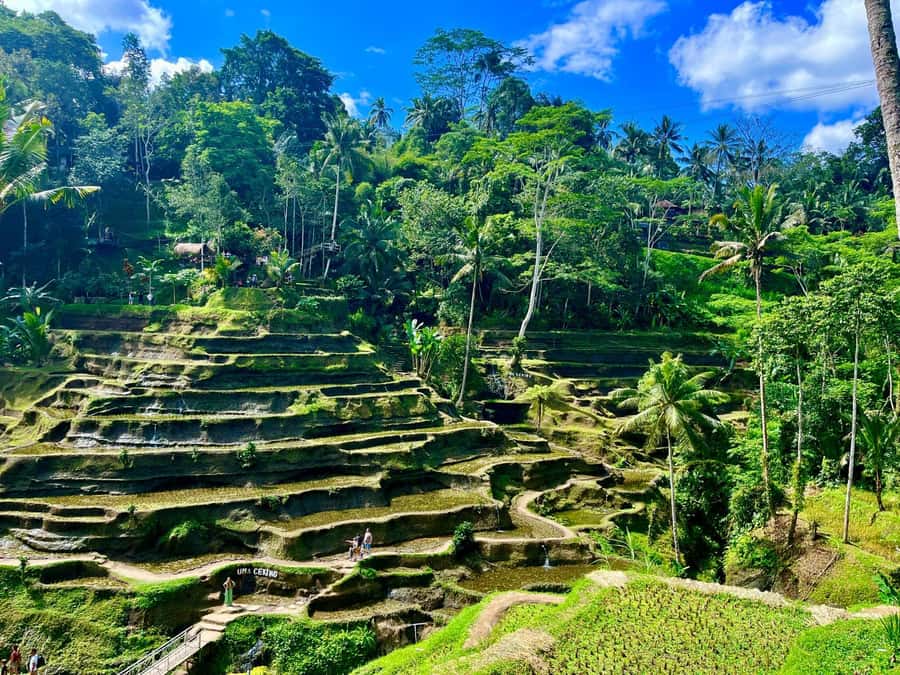Ubud: Water Temple, Rice Terrace, Waterfall, Private Tour - Kanto Lampo Waterfall: rock pools and close-up photographs