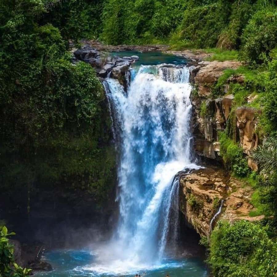 Ubud: Water Temple, Rice Terrace, Waterfall, Private Tour - Tegenungan Waterfall: the grand finale