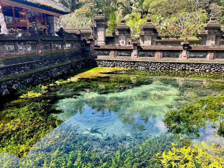 Ubud: Water Temple, Rice Terrace, Waterfall, Private Tour - The guides make or break the day