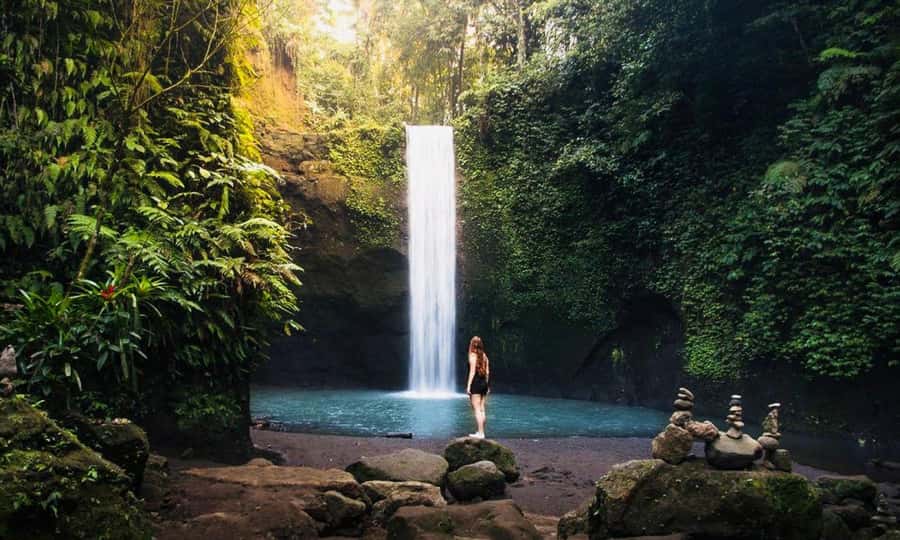 Ubud: Water Temple, Rice Terrace, Waterfall, Private Tour - Tegallalang Rice Terrace: a scenic first stop