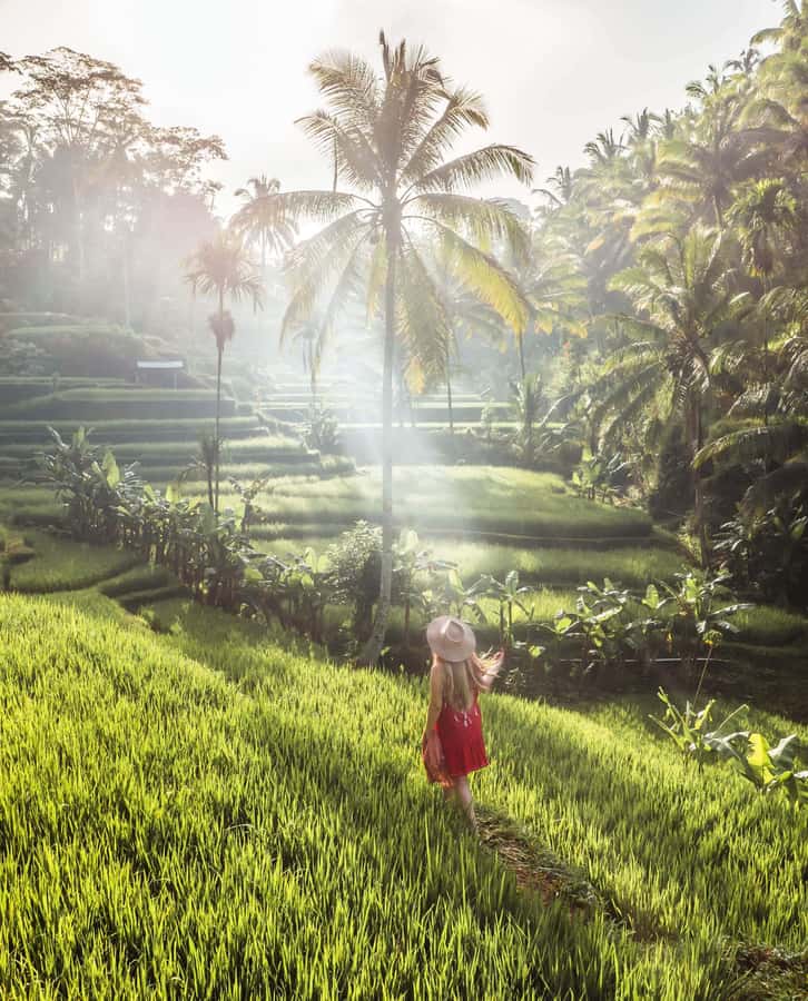 UBUD : Water Temples, Waterfalls, and Rice Terraces Tour - Kumulilir and Bali’s coffee plantation stop