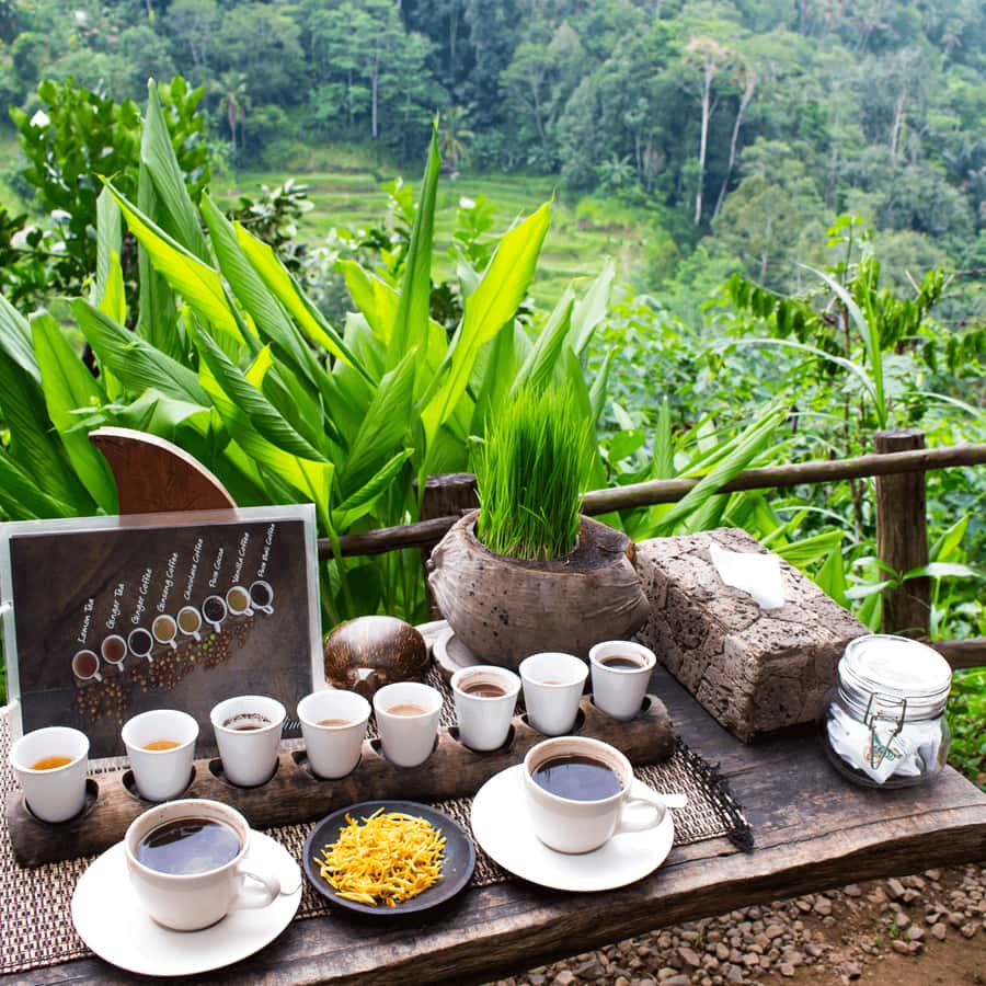 UBUD : Water Temples, Waterfalls, and Rice Terraces Tour - Suwat Waterfall brings a calm first look at Bali’s water