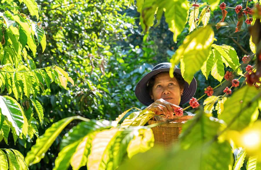 UBUD : Water Temples, Waterfalls, and Rice Terraces Tour - What a private guide adds to the day