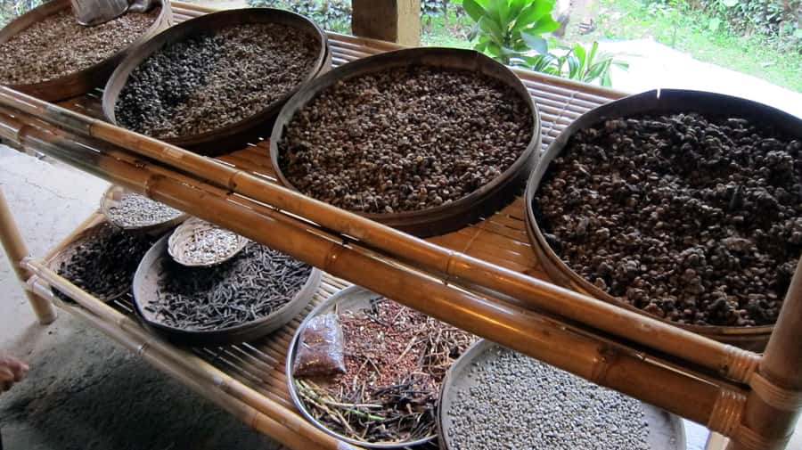 UBUD : Water Temples, Waterfalls, and Rice Terraces Tour - Starting with Tegallalang’s rice terraces