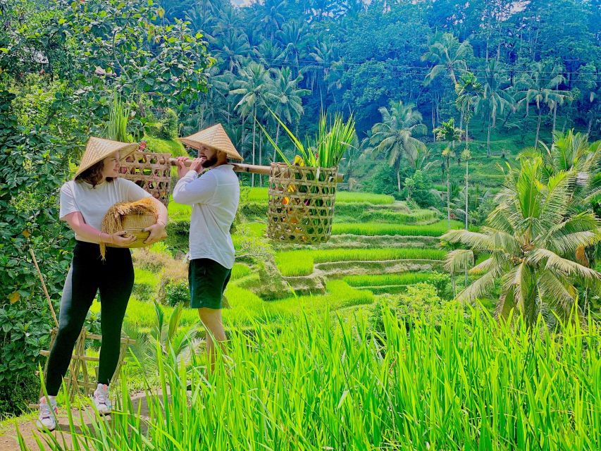 Ubud Waterfall, coffe plantation,and Atv Quad Bike - ATV Quad Bike: The Active Finish