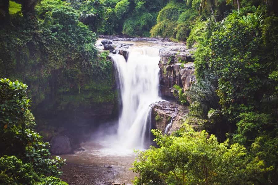 Ubud: Waterfall, Rice Terrace & Temple Private Day Tour - Key points at a glance