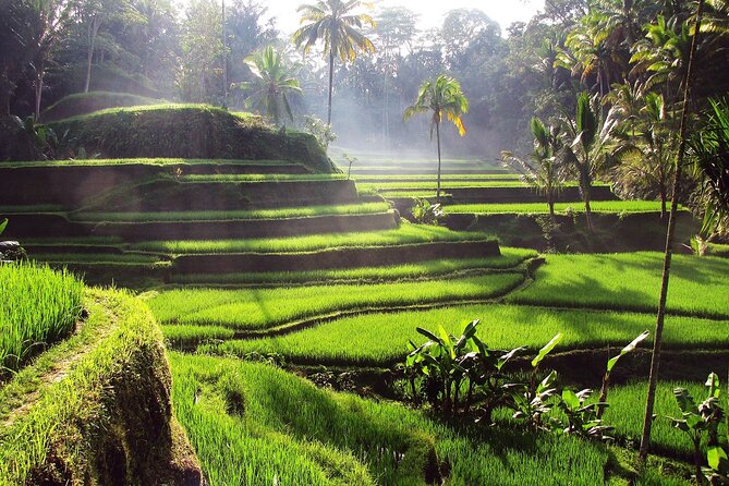 Ubud: Waterfall, Rice Terraces, and Monkey Forest Private Tour - Tegenungan Waterfall closes the route
