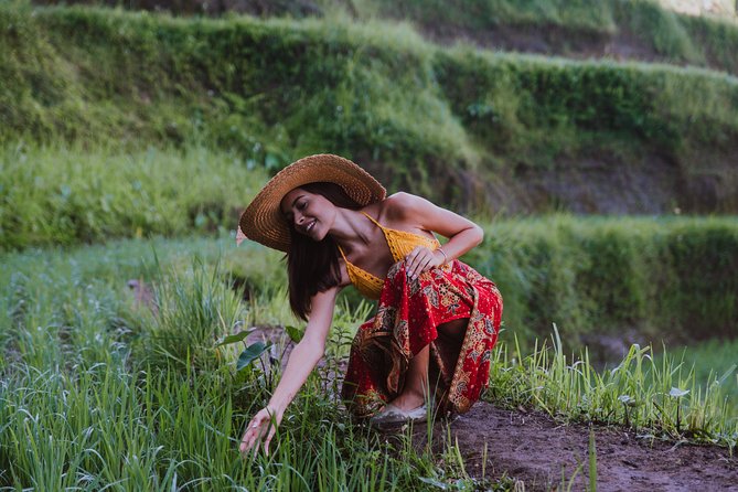 Ubud: Waterfall, Rice Terraces, and Monkey Forest Private Tour - What the $65 price really covers
