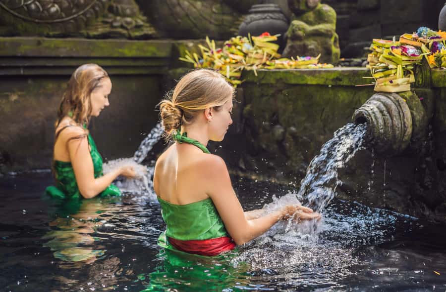 Ubud: Waterfall, Ricefield, Purification Ritual Private Tour - Key points to know before booking